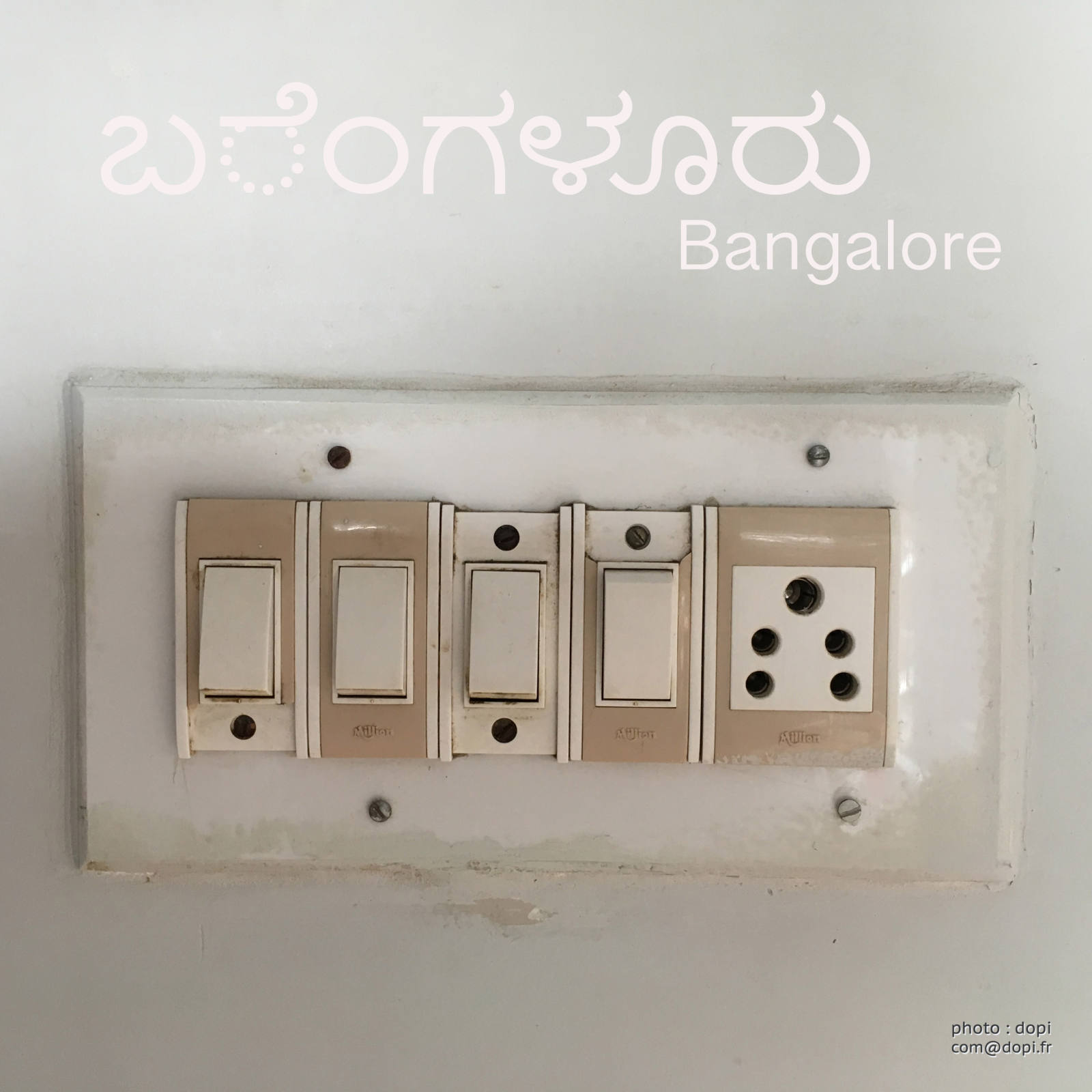 IMG 1413 1,medium large.2x.1522660105