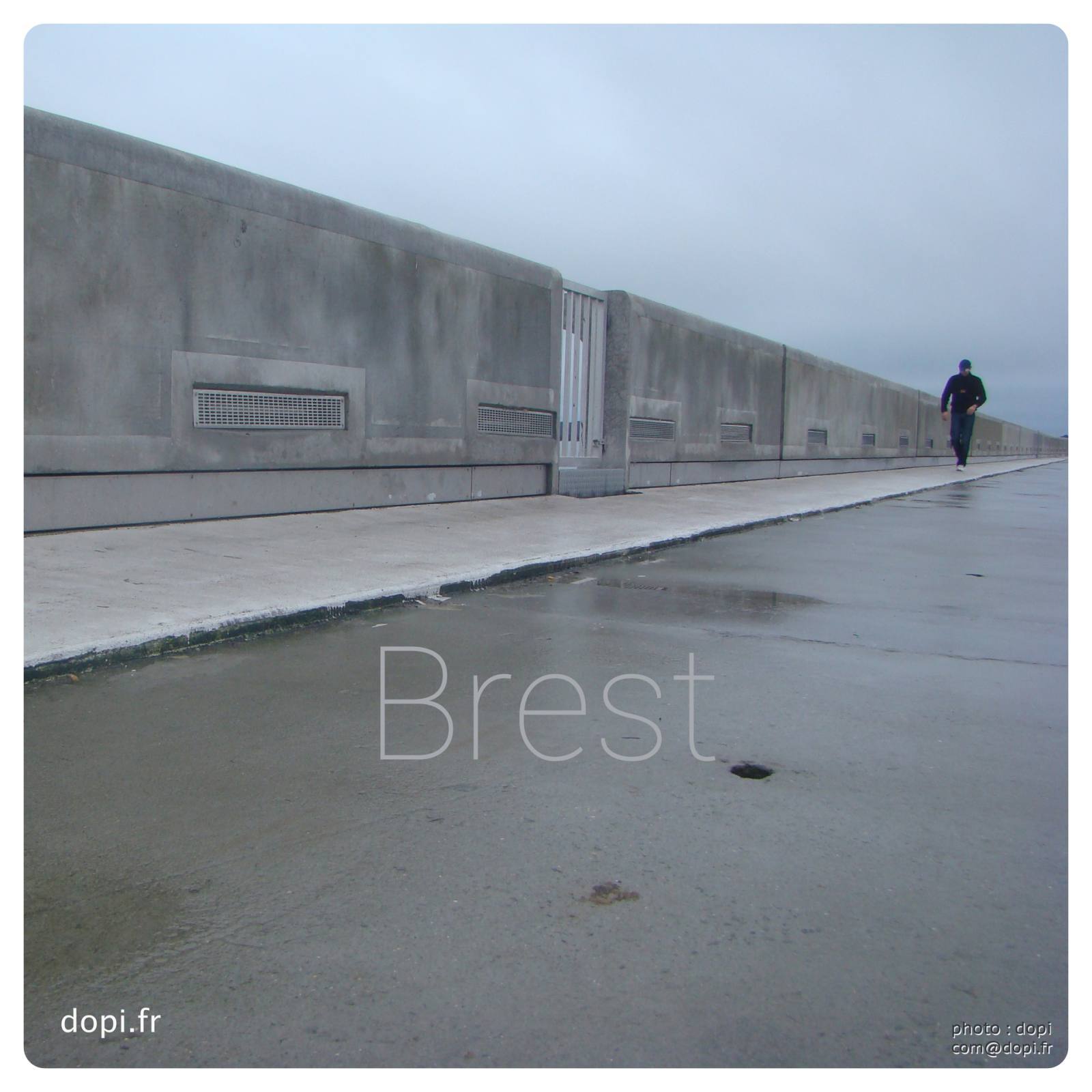 BREST3,medium large.2x.1483111911